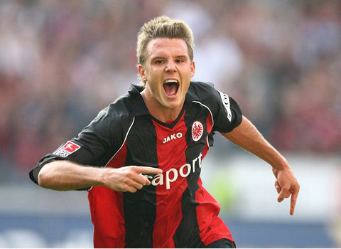 他们的快速 他们的快速